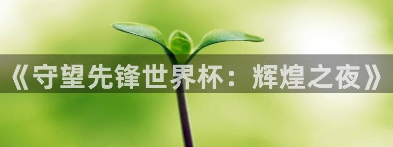 2026世界杯德国队阵容:《守望先锋世界杯:辉煌之夜》