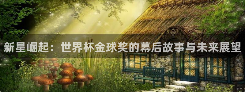 世界杯对阵图2026:新星崛起:世界杯金球奖的幕后故事与未来展望