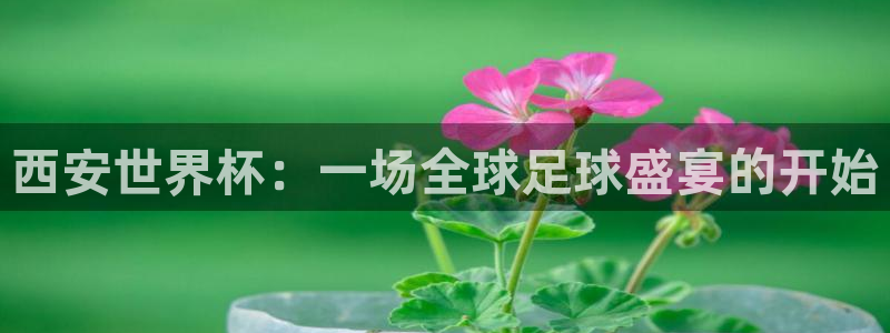 世界杯比赛:西安世界杯:一场全球足球盛宴的开始