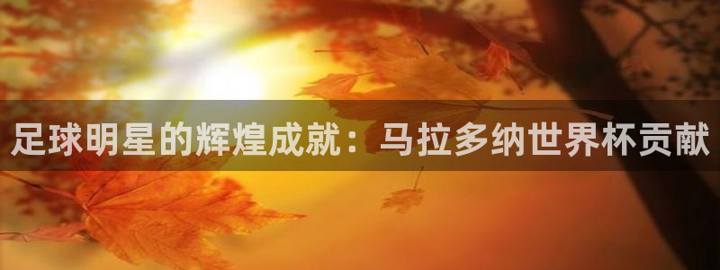 世界杯直播观看:足球明星的辉煌成就:马拉多纳世界杯贡献