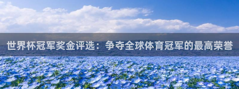 世界杯赛程时间表:世界杯冠军奖金评选:争夺全球体育冠军的最高荣誉