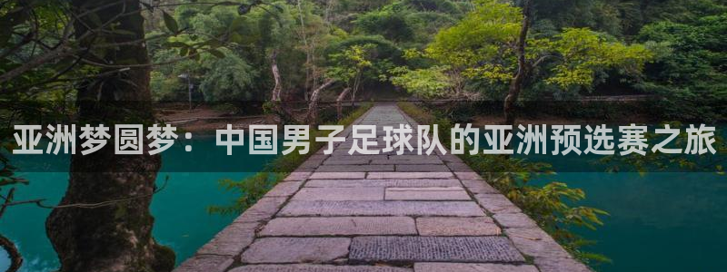 世界杯对阵表:亚洲梦圆梦:中国男子足球队的亚洲预选赛之旅