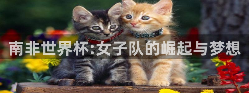 世界杯官网入口:南非世界杯:女子队的崛起与梦想
