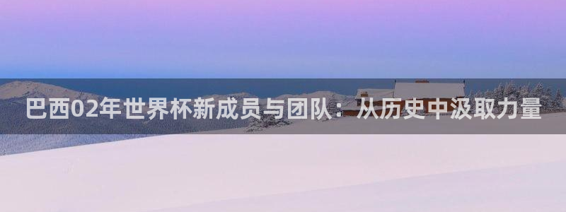 2026世界杯赛程时间表最新:巴西02年世界杯新成员与团队:从历史中汲取力量