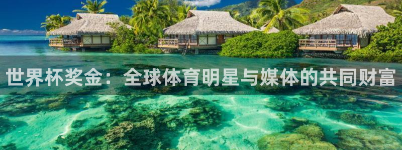 澳门世界杯直播:世界杯奖金:全球体育明星与媒体的共同财富